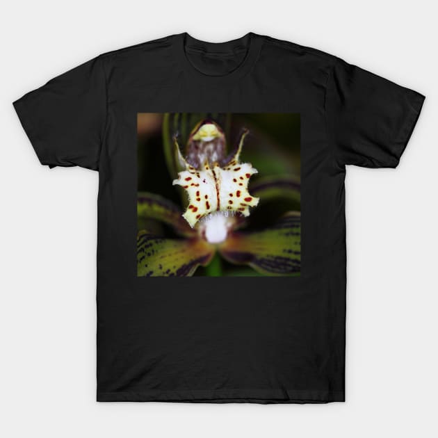 Orchid in Macro T-Shirt by Carole-Anne